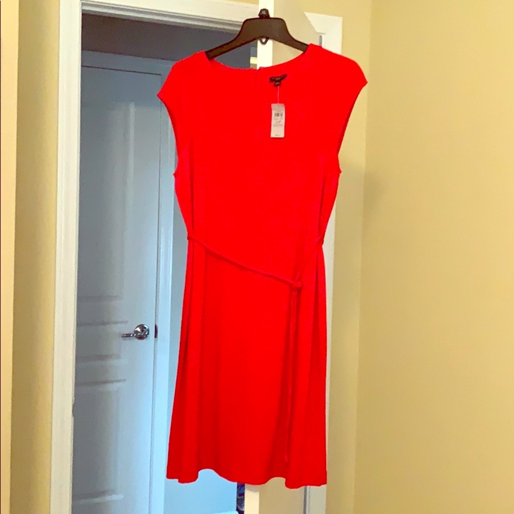 Ann Taylor Dress